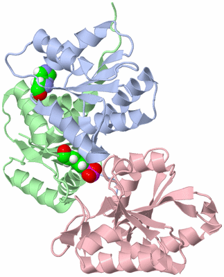 Image NMR Structure - all models