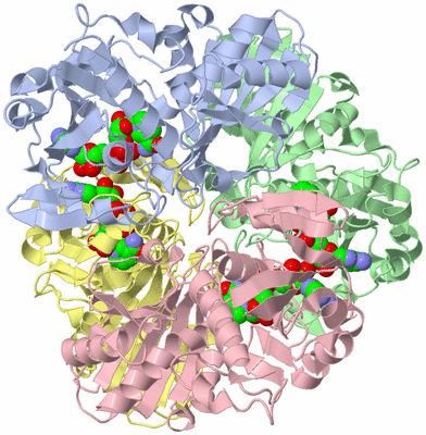 Image Biological Unit 1