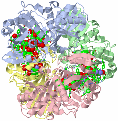 Image Biol. Unit 1 - sites