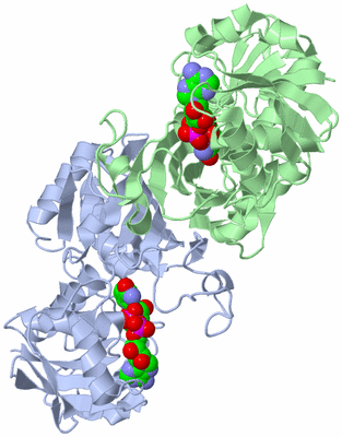 Image Biological Unit 2