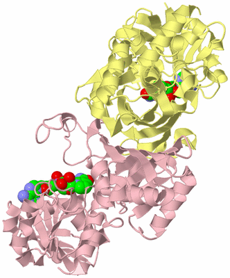 Image Biological Unit 3