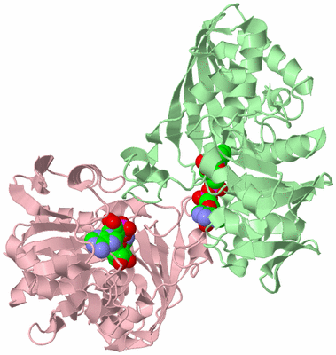 Image Biological Unit 5