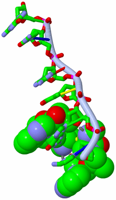 Image Asym. Unit - sites