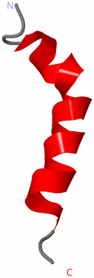 Image NMR Structure - model 1