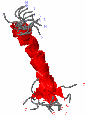 Image NMR Structure - all models