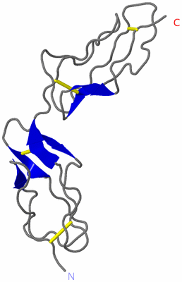 Image NMR Structure - model 1