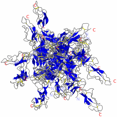 Image NMR Structure - all models