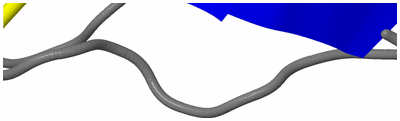 Image NMR Structure - model 1