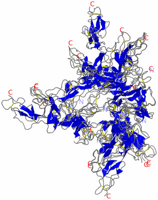 Image NMR Structure - all models