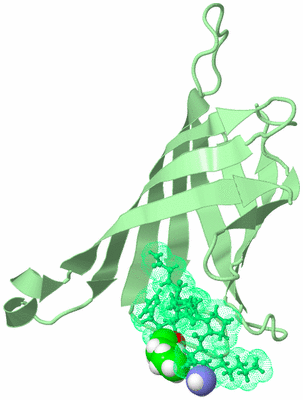 Image Asymmetric Unit