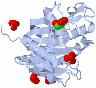 Image Biological Unit 1