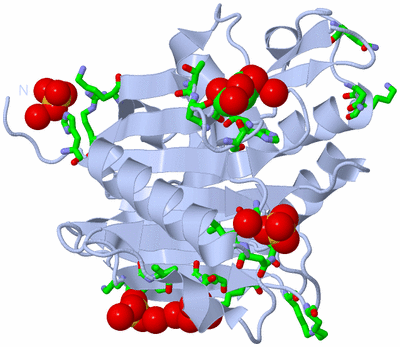 Image Biol. Unit 1 - sites