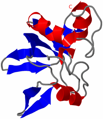 Image NMR Structure - model 1