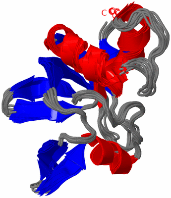 Image NMR Structure - all models