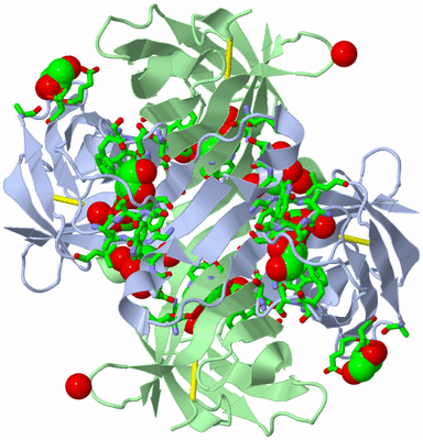 Image Biol. Unit 1 - sites