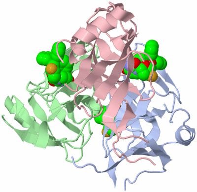 Image Asym./Biol. Unit