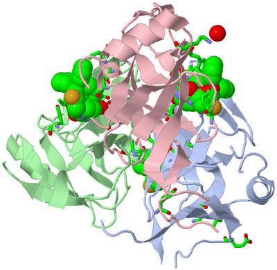 Image Asym./Biol. Unit - sites