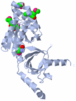 Image Biological Unit 1