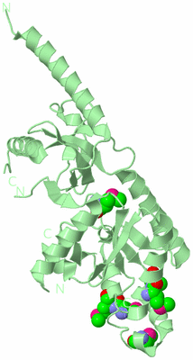 Image Biological Unit 2