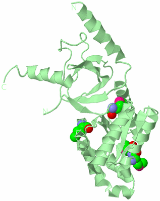 Image Biological Unit 2