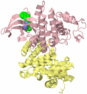 Image Biological Unit 2