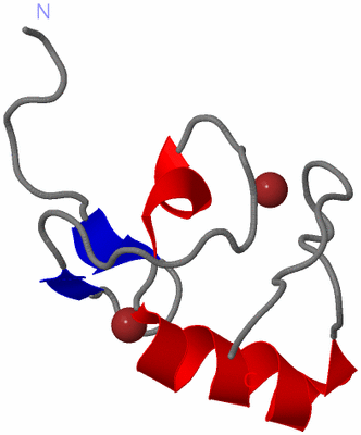 Image NMR Structure - model 1