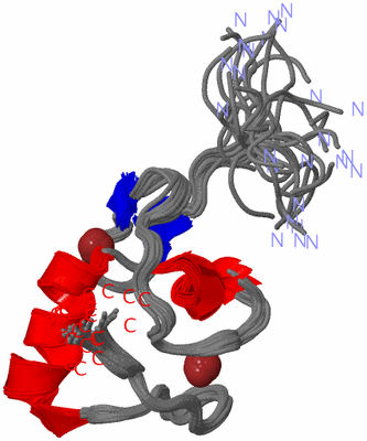 Image NMR Structure - all models