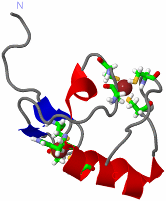 Image NMR Structure - model 1, sites