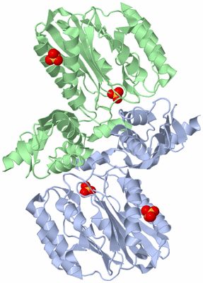 Image Asym./Biol. Unit