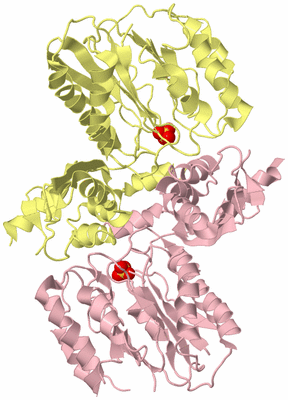 Image Biological Unit 2