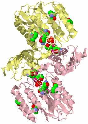 Image Biological Unit 2