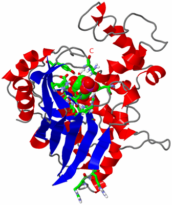 Image Asym. Unit - sites