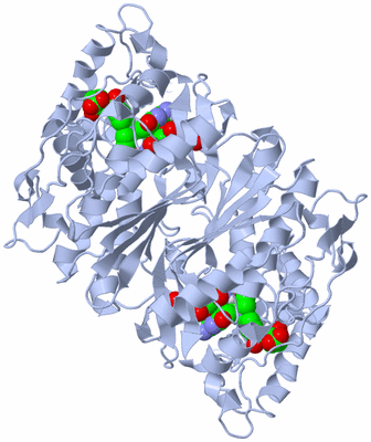 Image Biological Unit 1