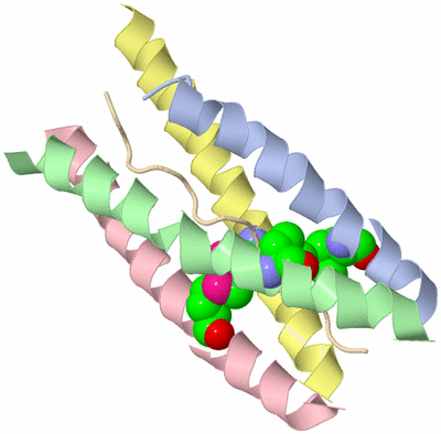 Image Biological Unit 1