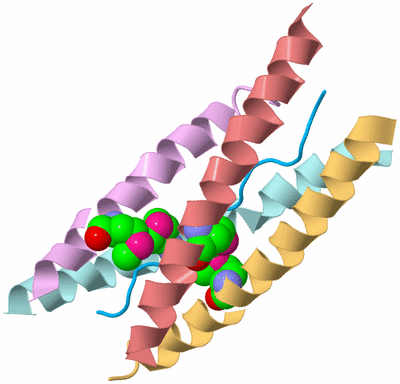 Image Biological Unit 2