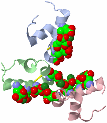 Image Asymmetric Unit