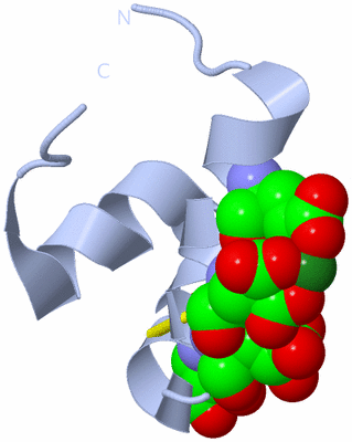 Image Biological Unit 1