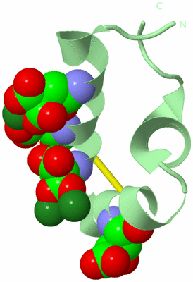 Image Biological Unit 2