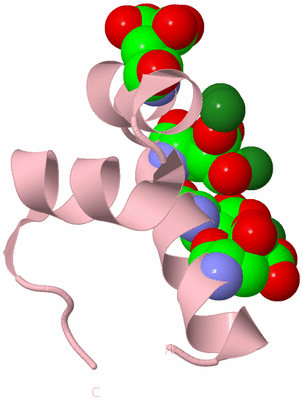 Image Biological Unit 3