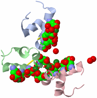 Image Asym. Unit - sites