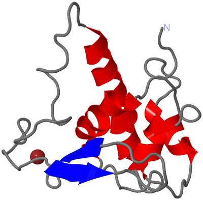 Image Theoretical Model