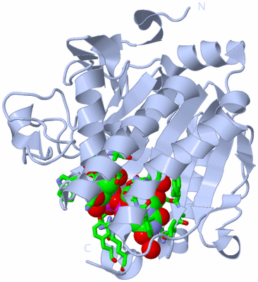 Image Biol. Unit 1 - sites