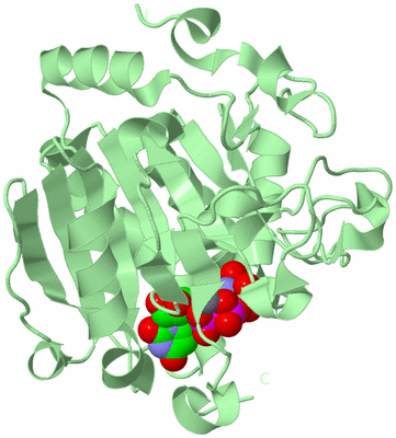 Image Biological Unit 2