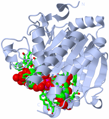 Image Biol. Unit 1 - sites