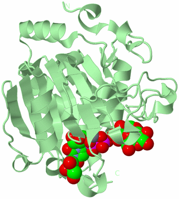 Image Biological Unit 2