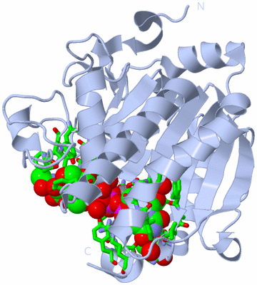 Image Biol. Unit 1 - sites