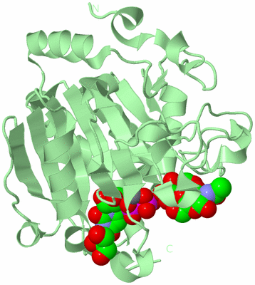 Image Biological Unit 2