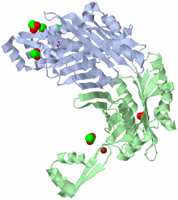 Image Asymmetric Unit