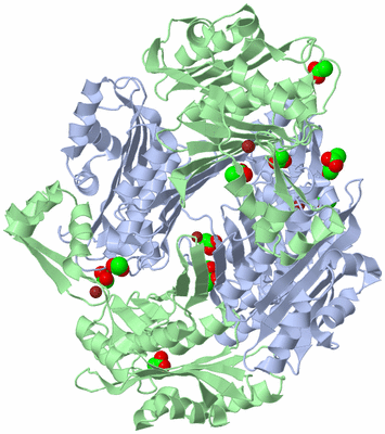 Image Biological Unit 1