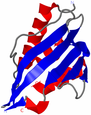 Image Asymmetric Unit